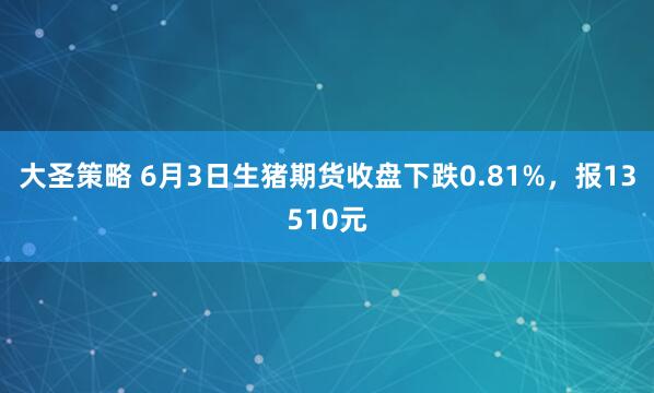 大圣策略 6月3日生猪期货收盘下跌0.81%，报13510元