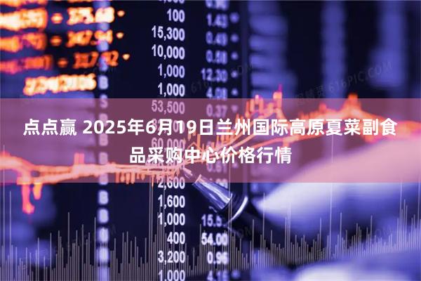 点点赢 2025年6月19日兰州国际高原夏菜副食品采购中心价格行情