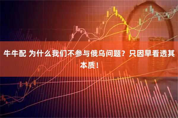 牛牛配 为什么我们不参与俄乌问题？只因早看透其本质！