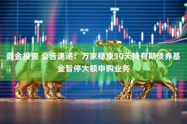 鼎金投资 公告速递：万家稳康30天持有期债券基金暂停大额申购业务