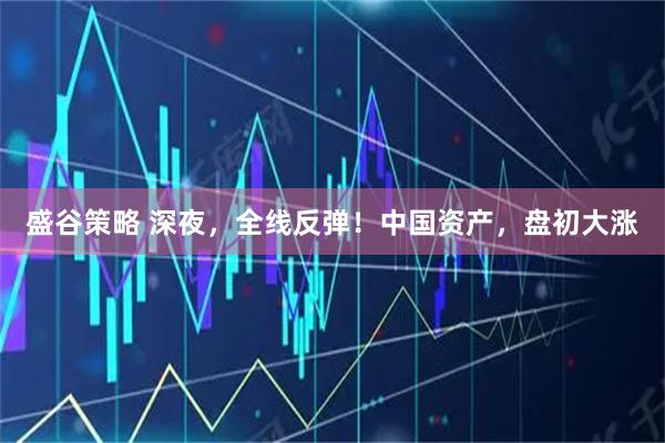 盛谷策略 深夜，全线反弹！中国资产，盘初大涨
