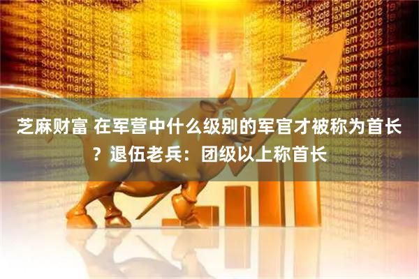 芝麻财富 在军营中什么级别的军官才被称为首长？退伍老兵：团级以上称首长